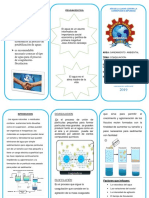 Triptico Sanemaiento Ambiental