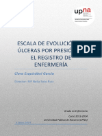 Escala de Evolución Ulceras Por Presión en Registro de Enfermería