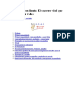 Primer Respondiente PDF