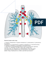 Ganglioni Mediastinali