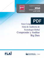 GTAG Understanding and Auditing Big Data Spanish