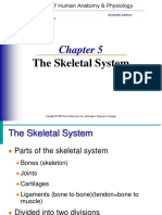 Skeletal System - 2014