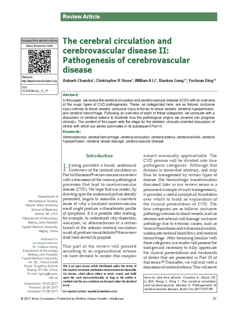 The Cerebral Circulation and Cerebrovascular Disease II Pathogenesis of ...