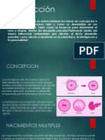 Desarrollo Humano Etapas