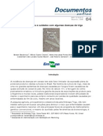 Caracteristica e cuidados com algumas doenças do trigo