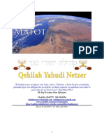 Parashat Matot #42 Adul 6019