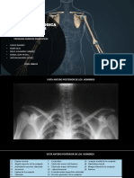 Anatomia Radiologica Extremidades Superiores