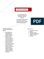 Mapa Conceptual de Nutricion en Animales