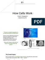 how cells work