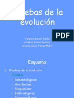 Pruebas de La Evolucin