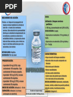 Escala de Bromage | PDF