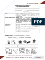 Prueba Diagnostica Naturaleza