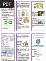 Triptico Hiperactividad