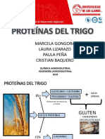 Proteinas Del Trigo