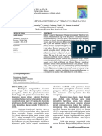 Ba PDF