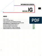 IG.pdf