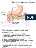 Physiolgoy Lecture 9, GIT 3 (Pancreas and Intestine) (Slides)