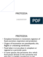 Parasitology Post Laboratory