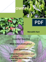 Plant Unit Plan
