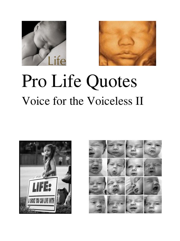 Pro-Life Perspectives and Quotes | PDF | Forgiveness | Catholic Church