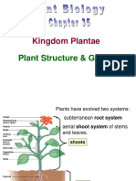 Biology Plant Based Presentation