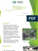 Avaliação da conectividade entre populações de elefantes africanos no norte de Moçambique