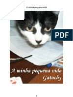 gatochy_2003
