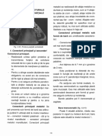 Forna Capitole pt lucrare.pdf