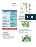 Materi Pertumbuhan Dan Perkembangan