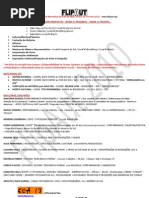 FlipAut 2010_ARTICULAÇÃO NATAL_ICAP_Ações Propostas e Colaboradores-Participantes