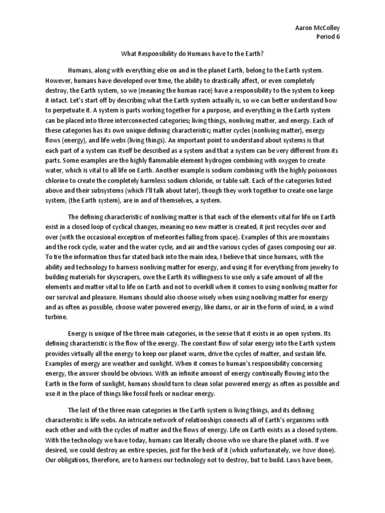 Our environment our responsibility essay image