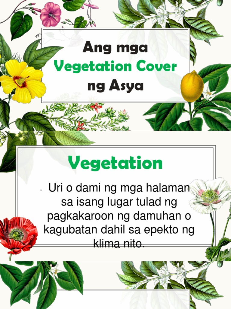 2 Vegetation Pdf