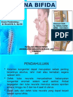 Spina Bifida Presentasi