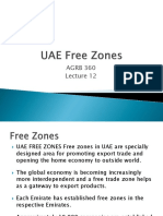 Lecture 12-UAE Free Zones