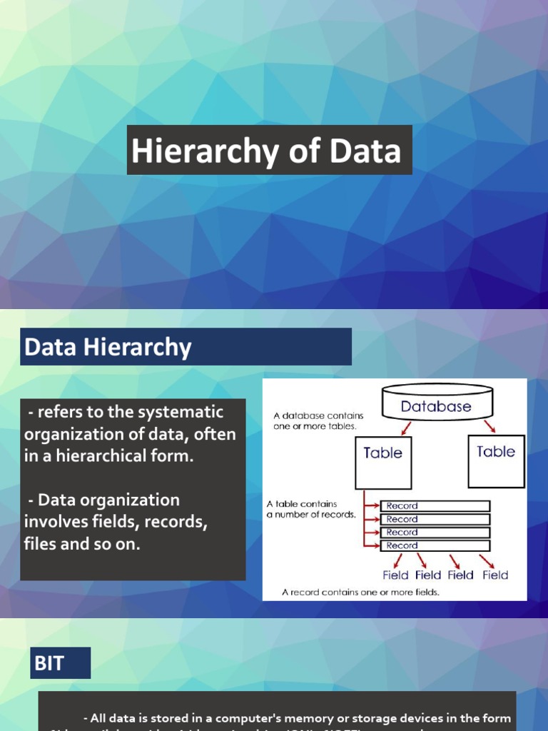 Hierarchy of Data Organization: From Bits to Database Management ...
