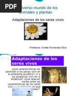 Download Adaptaciones de Los Seres Vivos by Orietta Fernandez Silva SN41949483 doc pdf