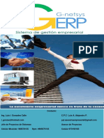 G Netsys Erp 