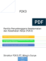 P2K3.pptx