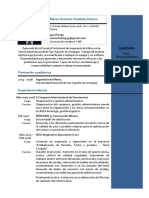 Ingeniero de Minas con experiencia en gestión de proyectos