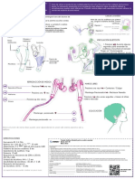 AUD 769 Instr