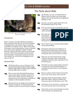 Ratsfactsheet PDF