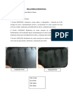 Relatorio Endodontia