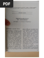 Preto e Branco Ou Colorido - o Negro e o Cinema Brasileiro - Orlando Senna