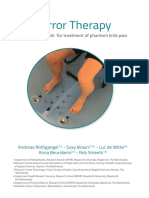 mirror therapy framework for phantom limb pain