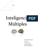 Inteligencias Múltiples S.S