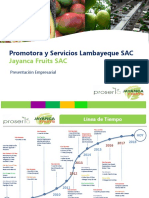 Promotora y Servicios Lambayeque SAC