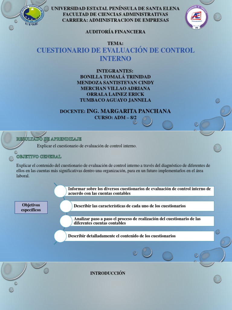 Cuestionario de Control Interno Financiero | PDF | Cheque | Bancos