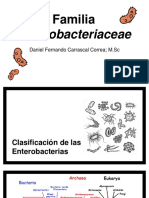 Enterobacterias PDF