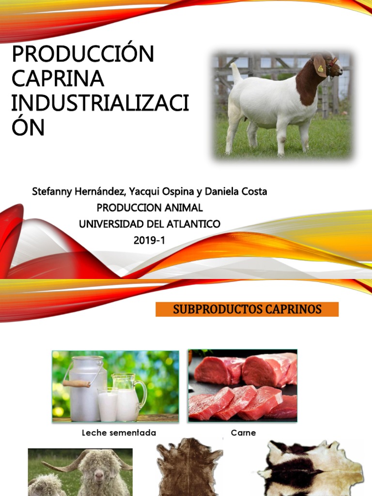 Producción Caprina | PDF | Cabra | Leche