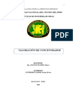 VALORACION DE CONCETRADOS.docx